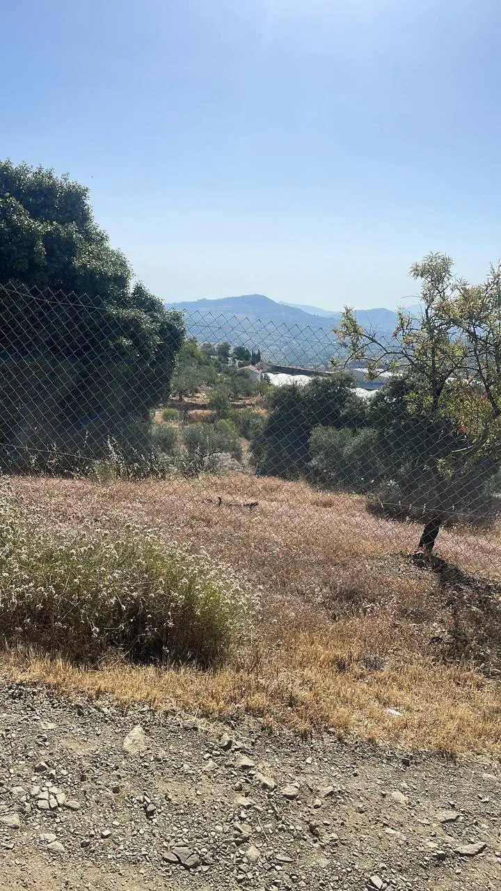 Plot with Building License, Tolox, 7,000 m² photo 4